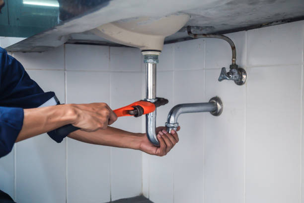 Best Clogged Drain Plumber  in Banner Hill, TN